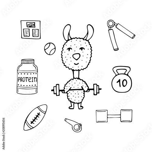 Funny lama the athlete with a bar and sports equipment.