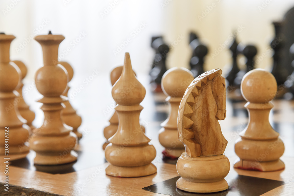 white chess pieces close-up on the chessboard, horse figure close-up white chess pieces close-up on the chessboard, horse figure close-up