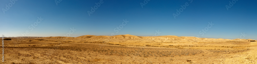 Panorama of desert