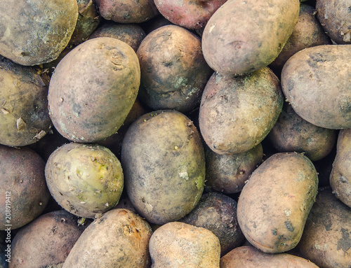 Texture of a dirty potato