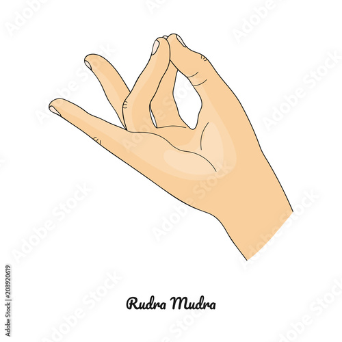 Rudra Mudra / Gesture of Solar Plexus. Vector.