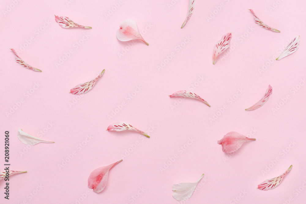 Flower petals on a pink background. Gentle spring background