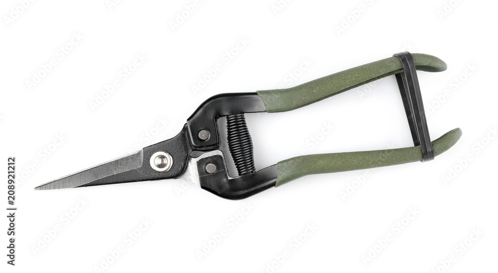 Garden pruner on white background Garden pruner on white background