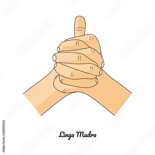 Linga Mudra / Gesture of Heat. Vector.