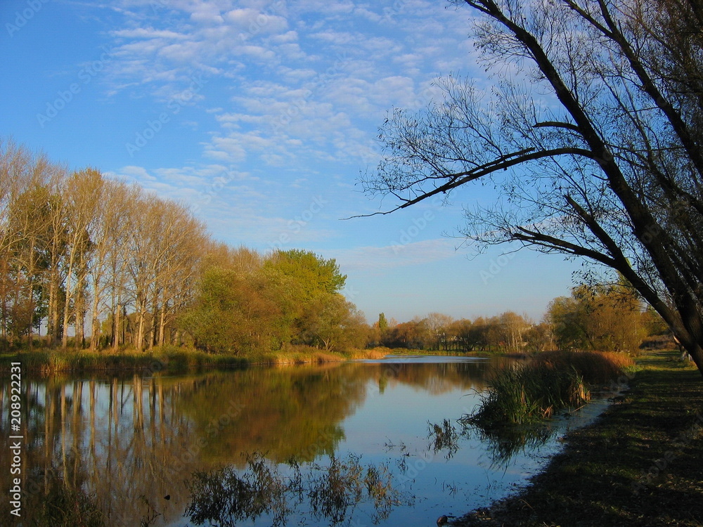 Obraz premium autumn river forest forest sky
