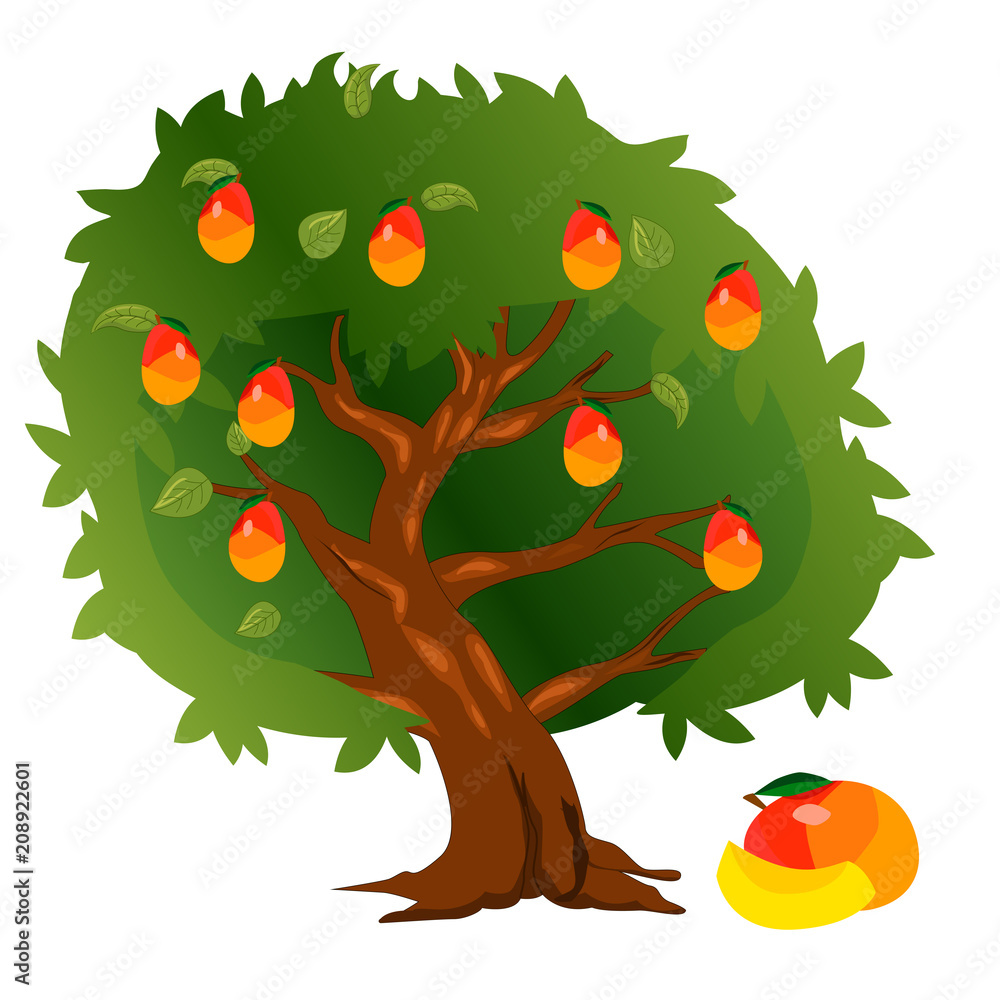 How to Draw a Mango Tree Step by Step-saigonsouth.com.vn