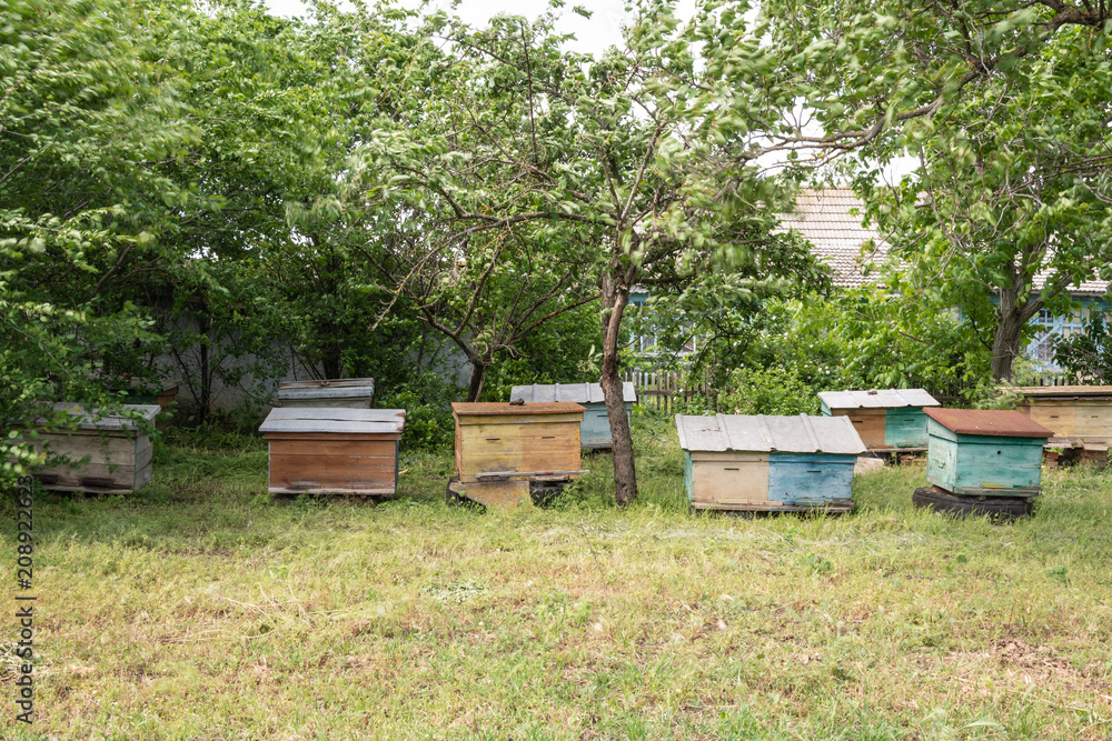 Hives in the apiary of a rural house, Shagany Lagoon, Ukraine Hives in the apiary of a rural house, Shagany Lagoon, Ukraine
