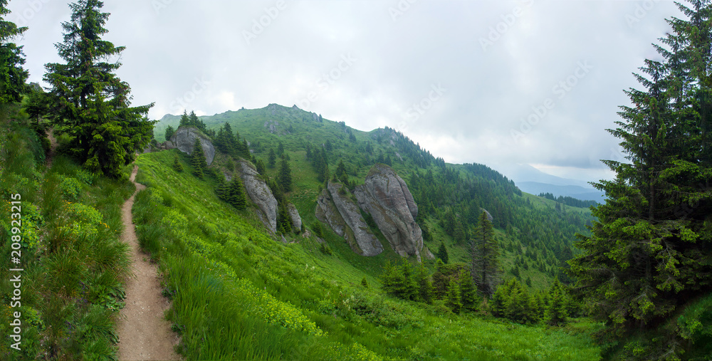 Panoramic view of Mount Ciucas on summer Panoramic view of Mount Ciucas on summer