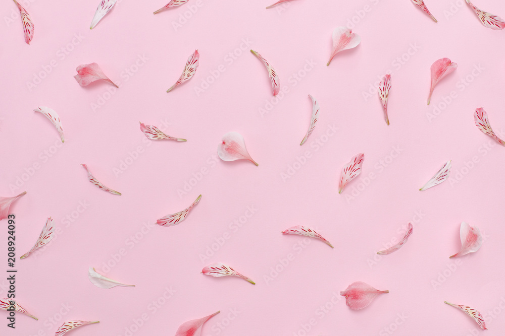 Flower petals on a pink background. Gentle spring background Flower petals on a pink background. Gentle spring background