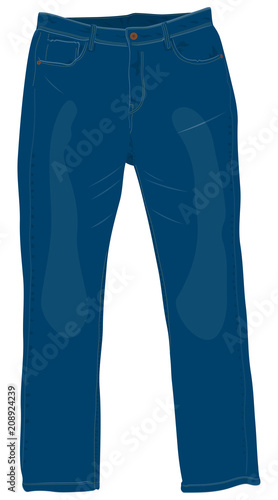 Blue men's jeans with brass buttons front view isolated vector illustration