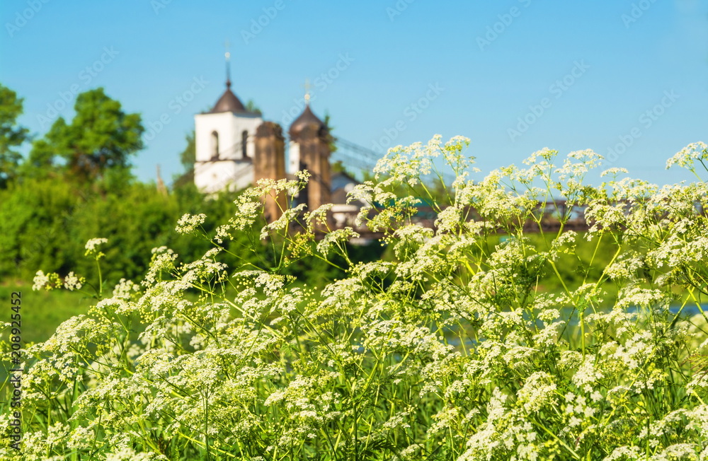 White wildflowers against the background of an ancient church