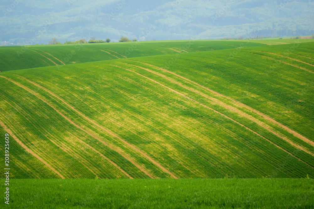 Moravian fields at spring near Litencice, Czech Republic