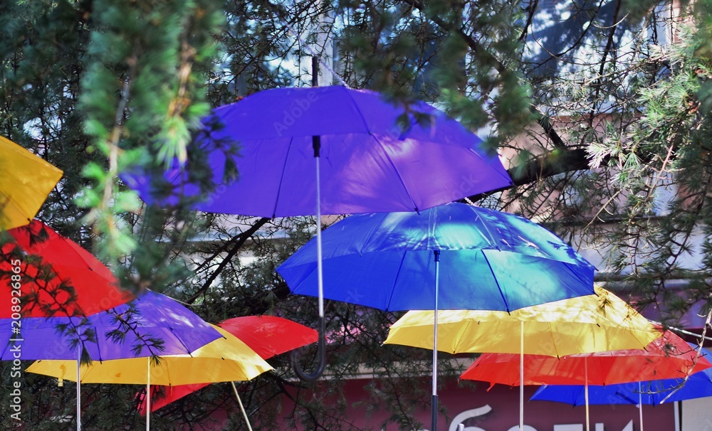 Bright colorful umbrellas weigh among the trees and decorate the street of the city.