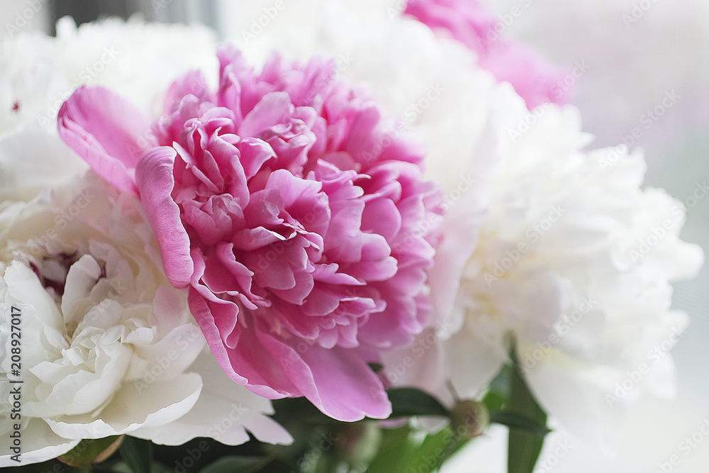 Bouquet of flowers close-up. White and pink peonies.