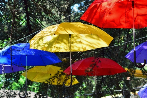 Fototapeta Naklejka Na Ścianę i Meble -  Bright colorful umbrellas weigh among the trees and decorate the street of the city.