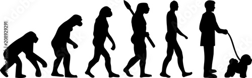 Bichon Frise evolution word