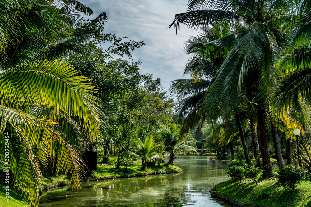 Green trees and lake Green trees and lake