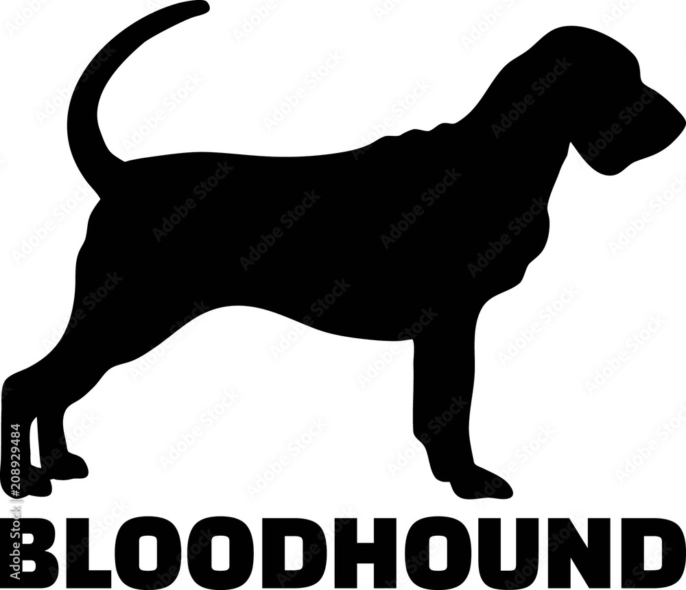 Bloodhound silhouette real word