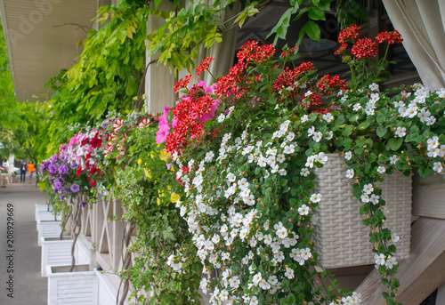 Tableau sur toile Street cafe flowers and herbs decor concept