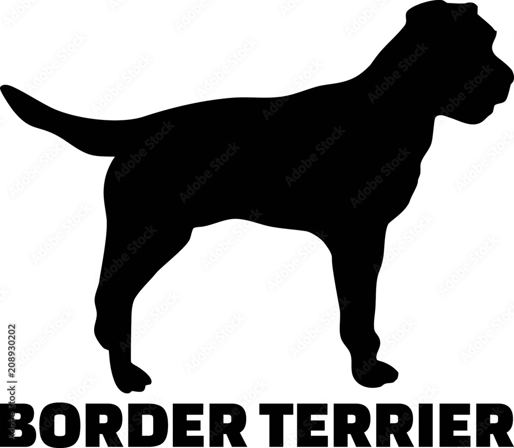 Border Terrier silhouette real word
