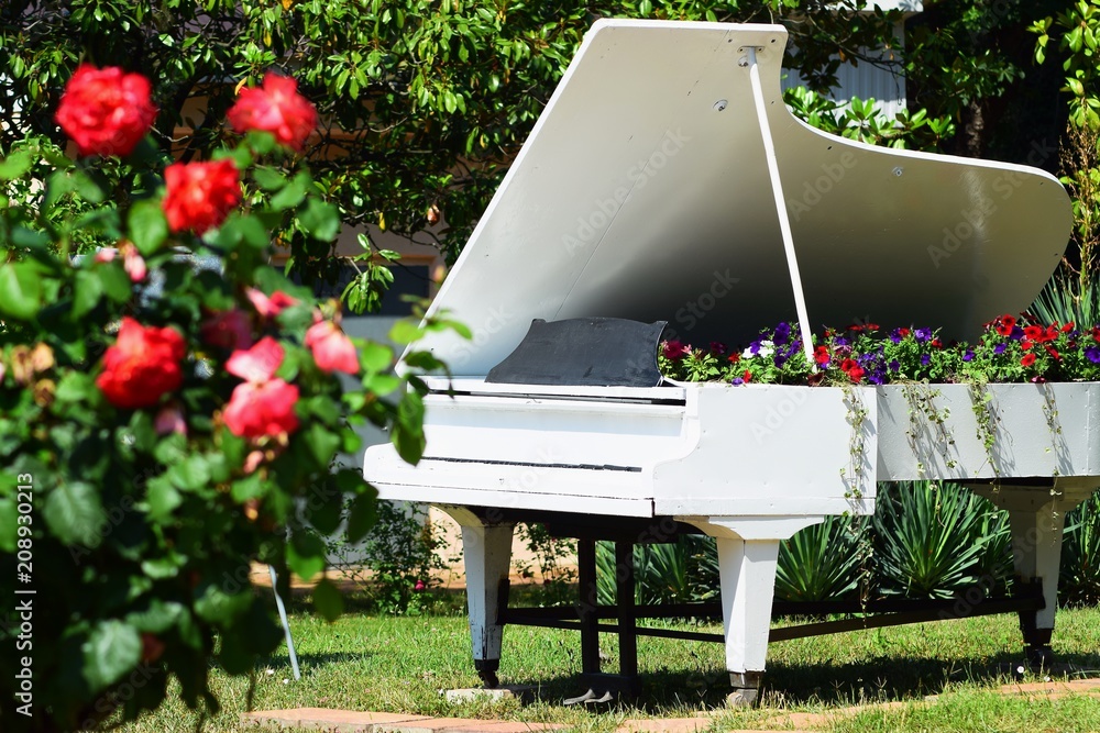 The beautiful white piano is decorated with colorful flowers in the city  garden. foto de Stock | Adobe Stock