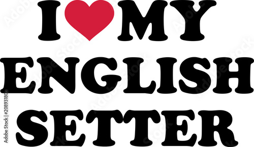 I love my English Setter