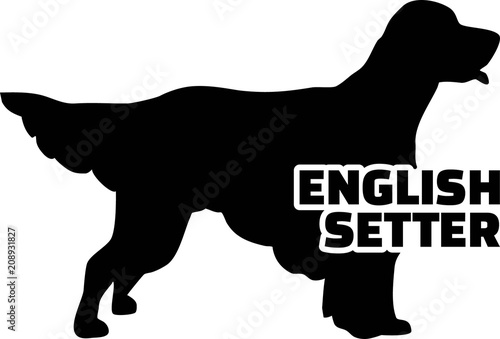 English Setter silhouette real word