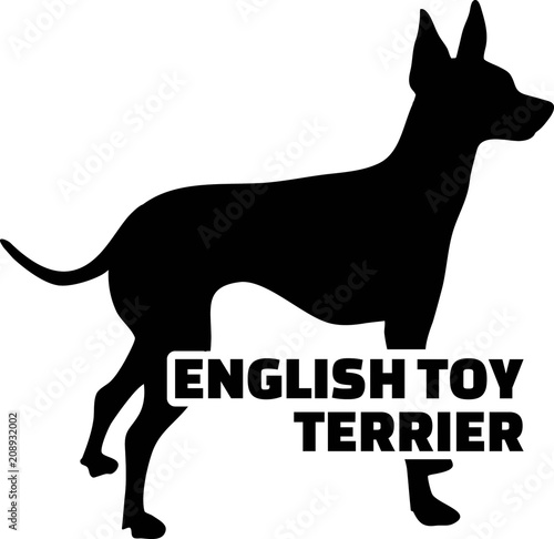 English toy terrier silhouette real word