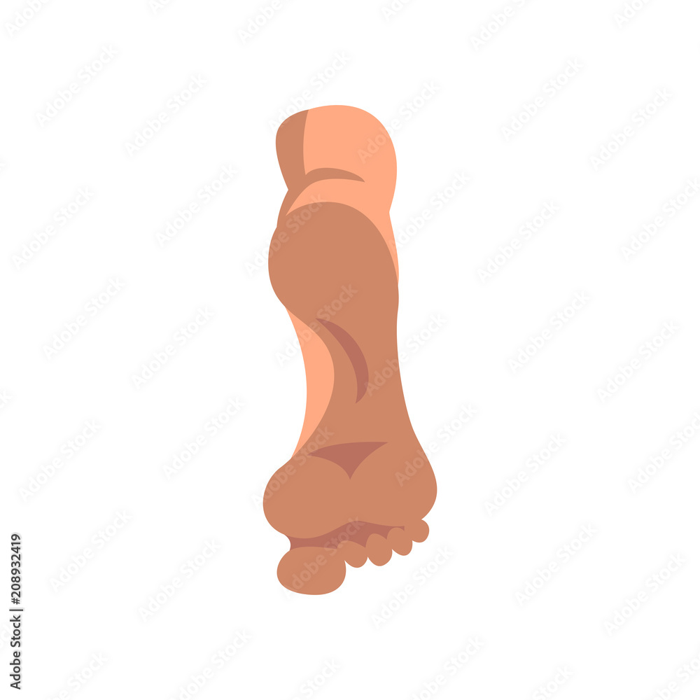 Human foot sole vector Illustration on a white background Human foot sole vector Illustration on a white background