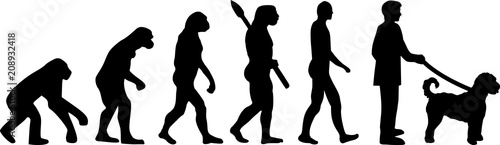 Goldendoodle evolution