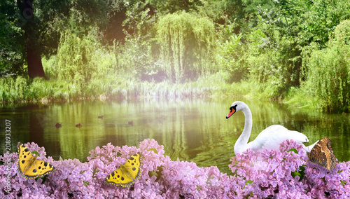 Mysterious nature background with lake, lilac flowers, swan and yellow butterflies