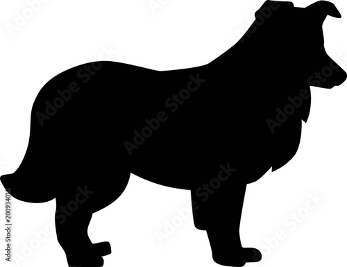 Shetland Sheepdog silhouette black