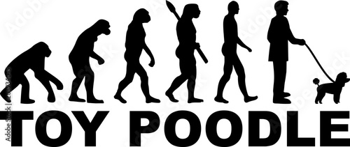 Toy poodle evolution word
