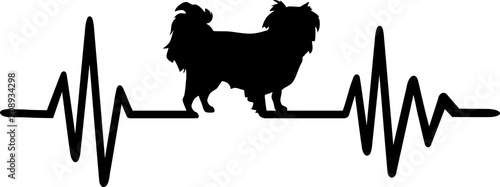 Japanese Chin heartbeat