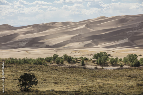 Giant Desert Dunes