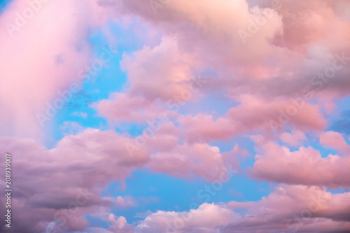Canvas Print Colorful pink clouds in blue sky