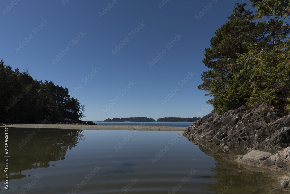 Reflection of trees along shoreline, Tonquin Beach, Tofino, Vancouver Island, British Columbia, Canada