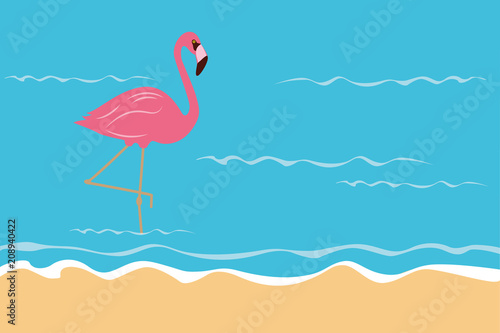 rosa flamingo steht im wasser am strand