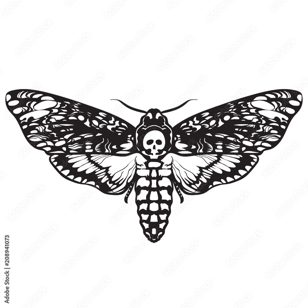 Skull moth butterfly. Death head hawk moth Stock Vector Adobe Stock