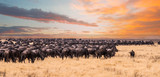 A migration of Wildebeest in Serengeti National Park,Tanzania