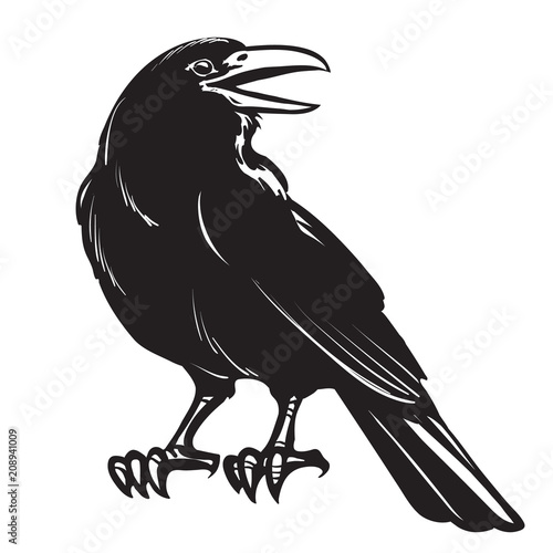 Graphic black crow isolated on white background Fototapeta