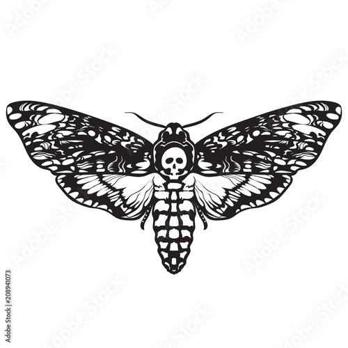 Skull moth butterfly. Death head hawk moth