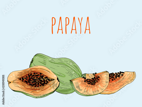 papaya set, whole and slices, vector