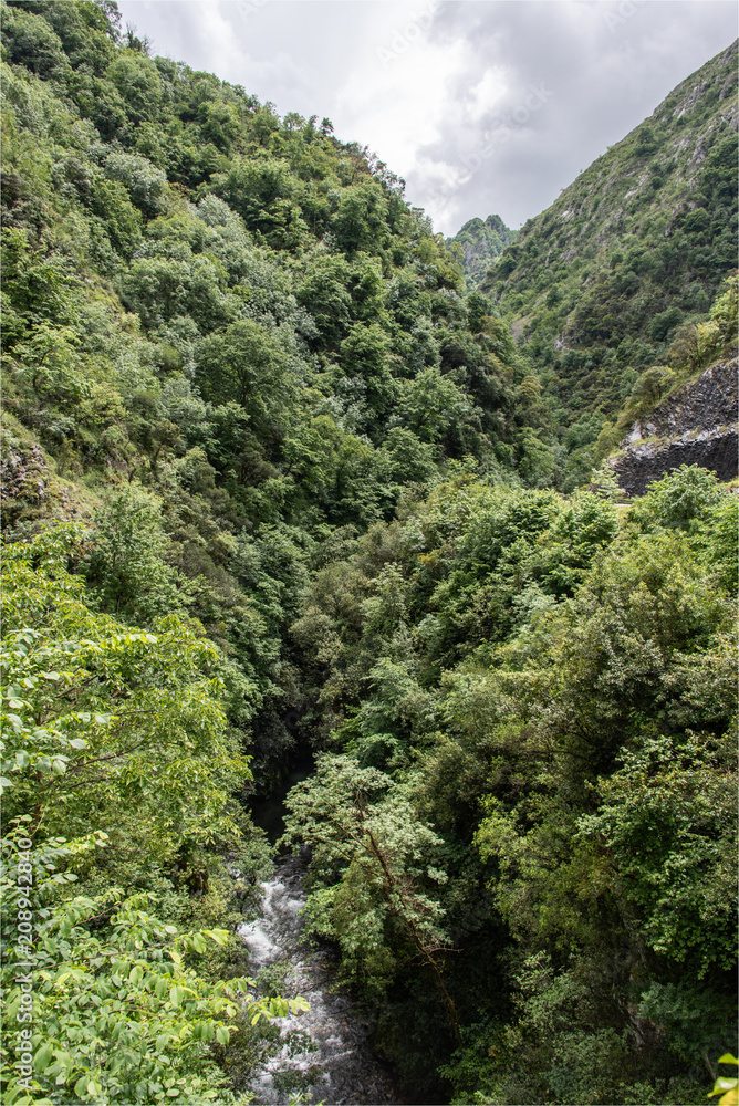 Paysage de verdure dans les Picos de Europa au nord de l'Espagne Paysage de verdure dans les Picos de Europa au nord de l'Espagne