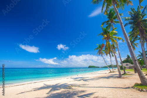 beach and coconut plm tree © Alexander Ozerov