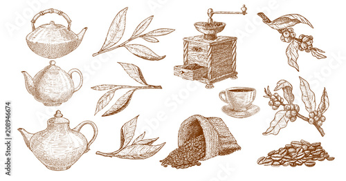 Coffee set with coffee and tea plants, grinder and pots illustration in hand drawn style, engraving.