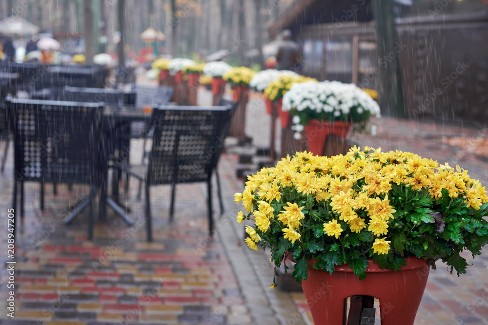 Wet chairs and tables of street cafe on rainy weather