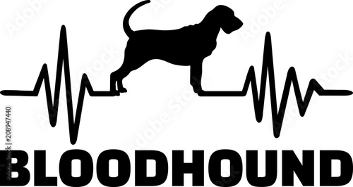 Bloodhound heartbeat word