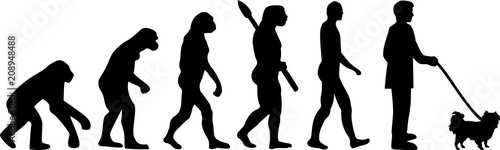 Japanese Chin evolution