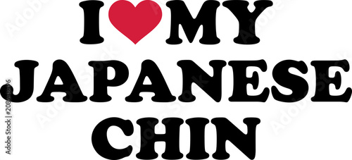 I love my Japanese Chin